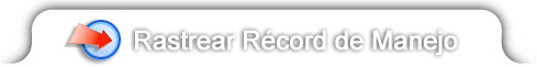 Track Driving Record